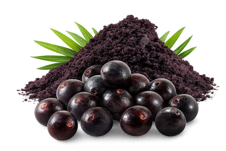 Freeze-dried açaí powder
